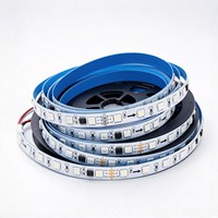 Lampu Strip LED RGB WS2811 24V Pengubah Warna Gradasi, IC Kontrol TTL SM16703, Strip Fleksibel SMD, Rating IP44, Garansi 2 Tahun