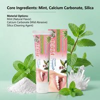 Dentifrice Traditionnel Chinois aux Herbes et à la Menthe, Formule Personnalisée en Gros pour Usine, Probiotique SP-6, ODM OEM, Vrac pour Usage Domestique