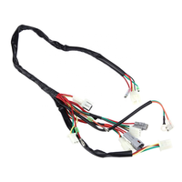 Faisceau de câblage moteur autonome LS Swap 4l80
