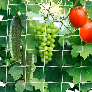 Filet de treillis moderne en PVC pour pois, haricots, tomates, concombres, poivrons, aubergines, courgettes, citrouilles - Utilisation en jardinage - Product Image 1