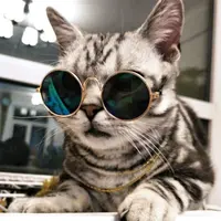 Gafas de sol clásicas y divertidas para mascotas, lentes de sol circulares de Metal para gatos o perros pequeños, disfraz de moda