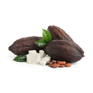 <span class=keywords><strong>Manteca</strong></span> de <span class=keywords><strong>Cacao</strong></span> Cruda Sin Refinar <span class=keywords><strong>para</strong></span> Cuidado de la Piel, Mascarilla Capilar, Bálsamo Labial y Loción Corporal, Precios de Fábrica - Product Image 4
