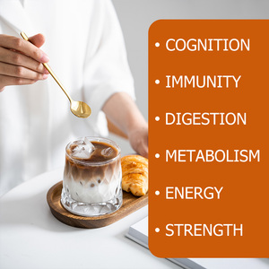 High Quality <b>Protein</b> Powder with Saturated Fat Muscle Strength Recovery Mood Cognitive Support Powder - Product Image 3