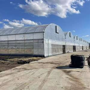 Invernadero agrícola Agrícola <span class=keywords><strong>de</strong></span> policarbonato <span class=keywords><strong>de</strong></span> vidrio con película <span class=keywords><strong>de</strong></span> túnel comercial multitramo con <span class=keywords><strong>semillero</strong></span> para tomate <span class=keywords><strong>fresa</strong></span> - Product Image 1