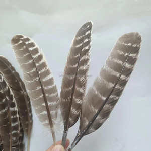 Pluma de Pavo Barreda Natural de 10-12 Pulgadas de Alta Calidad, Precio Competitivo, Venta Caliente, para Decoraciones - Product Image 5