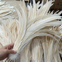 Plumes de coq blanches enfilées de 10 à 18 pouces, plumes naturelles pour la fabrication de chapeaux, éventails, artisanat, arrangements floraux de mariage, décoration