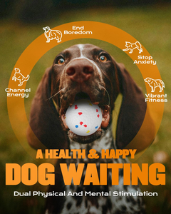Hot Sale Fun Training <b>Dog</b> Toys Smart Pet <b>Ball</b> Launcher Interactive <b>Dog</b> <b>Ball</b> <b>Thrower</b> - Product Image 3