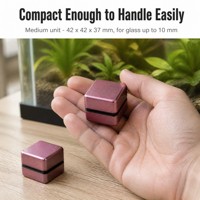 Nettoyeur magnétique pour aquarium, double face, rectangulaire, en acier inoxydable, grattoir à algues pour le nettoyage des aquariums
