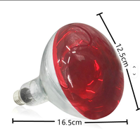 Lampes chauffantes de couleur rouge torréfiée E27 250w pour la restauration, le buffet, le maintien au chaud des aliments
