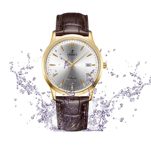Orologio con cinturino in acciaio inossidabile 316L di marca AKIRES MIYOTA 9015 orologio meccanico personalizzato con movimento automatico per uomo - Product Image 3