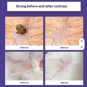 Gel Douche Protecteur 4-en-1 Anti-Puces, Anti-Lentes et Anti-Bactérien pour Animaux de Compagnie, 100ml, Doux et Non Irritant, pour l'Exportation - Product Image 4