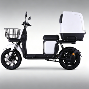 Scooter de Color Personalizado, 4KW de Potencia, 100km de Autonomía, Carga en 4 Horas, Ideal para Reparto Urbano - Product Image 1