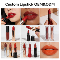 Collection de cosmétiques de beauté minéraux mats de luxe de marque personnalisée, produits de maquillage, rouges à lèvres et gloss à lèvres tendance