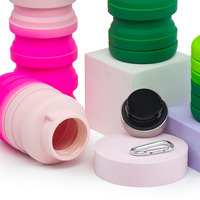 Grande bouteille d'eau pliable en silicone souple, 16 oz, réutilisable, sans Bpa, étanche, pour gymnastique, yoga, sports de plein air, voyage