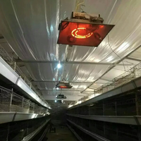 Nouveau chauffe-poussins électrique infrarouge 220V pour élevage avicole et porcin, équipement de chauffage avicole à température contrôlée