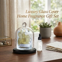 Diffuseur en cristal de citrine OEM&ODM, coffret cadeau, artisanat fait main, parfum longue durée pour la décoration de table de chambre