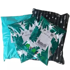 कस्टम लोगो मुद्रण पर्यावरण के अनुकूल Biodegradable पाली एक्सप्रेस मेलिंग के लिए पैकेजिंग पार्सल शिपिंग बैग कपड़े