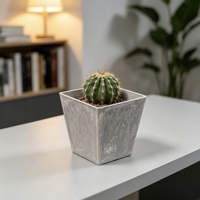 Pot de fleurs en plastique finition pierre, durable, écologique, pour plantes succulentes et cactus d'intérieur, accent décoratif moderne pour la maison et le jardin