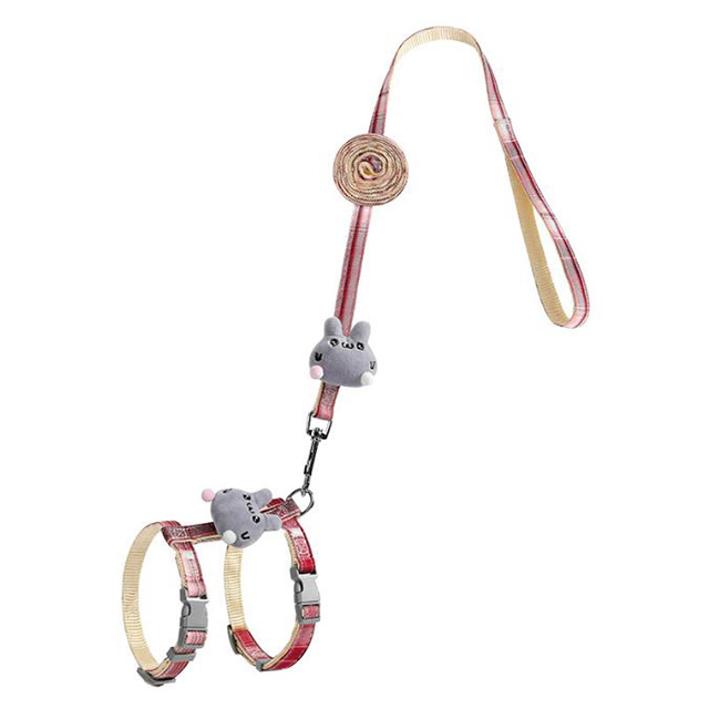 Type5: lapin rouge