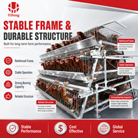 Cage à poules pondeuses automatique de type A à 3 niveaux avec abreuvoir à tétine, système d'évacuation du fumier et collecte des œufs, équipement pour ferme avicole