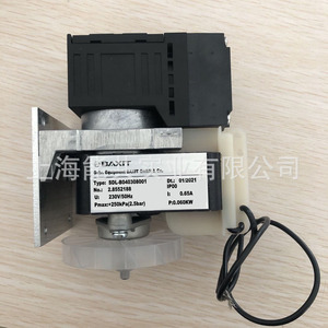 Bomba de Vacío Baxit SDL-B040308001 230V 50Hz 0.06KW para Muestreo de COV para Análisis de Gases CEMS - Product Image 1