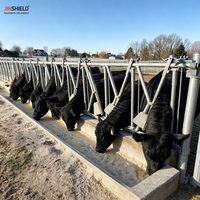 Jauges de bétail à verrouillage automatique pour le traitement alimentaire et les contrôles de bétail