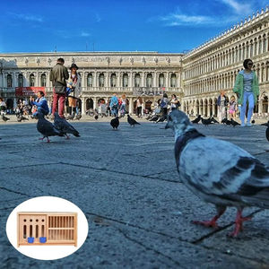 Cage d'élevage de pigeons en bois massif de haute qualité avec nichoir et accessoires complémentaires pour oiseaux - Product Image 2