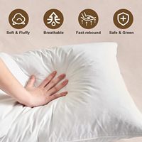 Reine taille plume d'oie hôtel Collection lit oreillers luxe 100% coton tissu doux côté dos oreiller de couchage pour les dormeurs