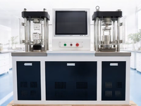 Máquina de Ensayo Integrada de Compresión y Flexión de Cemento Automática NAILATE (DYE-300S), Equipo de Prueba de Laboratorio, 1 Año de Garantía