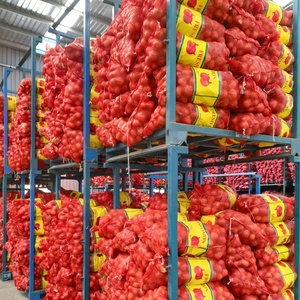 2025 Nova Colheita de Sinofarm Marca Fresca Cebolas Vermelhas e Cebola Amarela Branco Preço Por Tonelada na China De Sementes De Cebola Exportador - Product Image 1