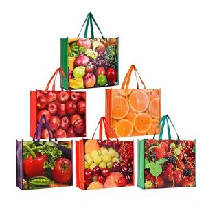 Custom Fabric Laminated Waterproof PP Shopping <b>Bag</b> Polypropylene Non-Woven <b>Bag</b> with Rope or Ribbon Handle - Product Image 1