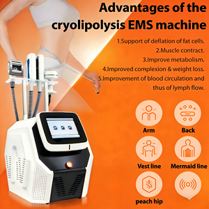 Produtos em Alta 2026: Máquina de Criolipólise com 4 Manípulos, Máquina de Emagrecimento com Polia de Cabo Duplo, Equipamentos de Beleza para Emagrecimento, Novas Tecnologias - Product Image 1