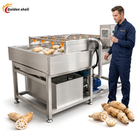 Automatische fruit- en groentereinigingsmachine van roestvrij staal, commerciële wasmachine