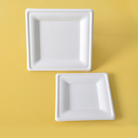 Échantillon gratuit Assiette de vaisselle écologique pour enfants Assiettes en papier arc-en-ciel pour réception de mariage et fêtes