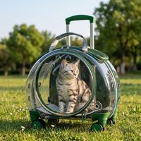 Sac de transport à roulettes transparent classique grande capacité en EVA et maille PU avec fermeture éclair, sac à dos de voyage portable pour chats et petits animaux