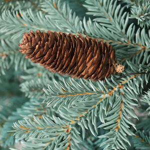 Sapin de Noël de luxe bleu-vert en PE et PVC mélangés, avec décorations de cône de pin, ornement de Noël, Arvore De Natal - Product Image 4