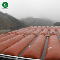 Digesteur de biogaz à ballon pour fumier de poulet agricole et usage domestique