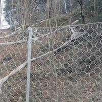 Filet de protection contre les chutes de pierres en acier galvanisé à mailles plates tissées, directement de l'usine
