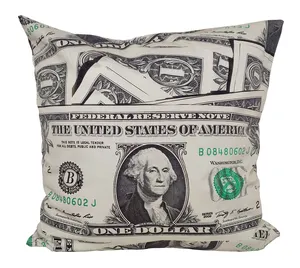 Money Dollar Throw Pillow Cover Funny ONE Dollar Bill Decorative Pillow Case Home Decor Square 18x18 Inches Pillows