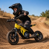 Moto électrique puissante pour enfants, cadre en alliage d'aluminium, frein à disque hydraulique, vitesse maximale 33 km/h, pour les 3-6 ans, facile à conduire, OEM ODM