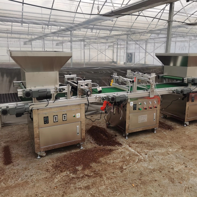 Automatic Plug Seedling Machine Pepper Seed Tray Hole Sowing Fully Automatic Air Suction Tray Seeder Machine