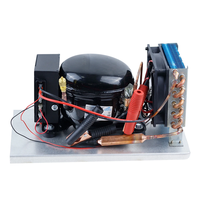 Unit Pendingin Otomatis Mini Kompresor Kondensor Refrigerasi Mobile Freezer -20C 8C R-410A/R-404A Kompatibilitas 110V/220V