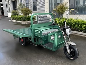 รถสามล้อไฟฟ้าคุณภาพสูงสำหรับผู้ใหญ่ แบบเปิดประทุน สำหรับบรรทุกสินค้า ลดราคาพิเศษ - Product Image 4