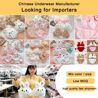 Ensemble soutien-gorge et culotte sexy à imprimé animal, style japonais, doux et moelleux pour l'hiver, motif lapin de dessin animé mignon, lingerie fine sans armatures pour étudiantes