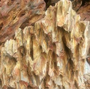 <span class=keywords><strong>Aquarium</strong></span> Landschapsarchitectuur Fijne Dennenhuid Steen Voor <span class=keywords><strong>Aquarium</strong></span> Landschapsarchitectuur - Product Image 4