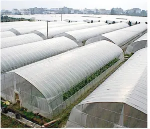Serra di coltura idroponica di plastica del policarbonato della serra del Tunnel agricolo della serra per la verdura/frutta/fiori
