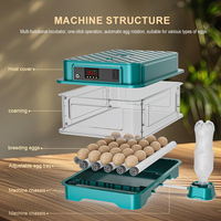 Incubateur d'œufs entièrement automatique pour poulets, cailles, canards, oies, pigeons, 220V/110V/12V, incubateur à œufs pour 24 œufs