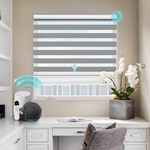 Ngựa Vằn rèm cửa sổ phong cách ngựa vằn ngày và đêm hai lớp rèm chống cháy Con lăn rèm cửa sổ cho khách sạn Văn Phòng TrườNg sử dụng - Product Image 4