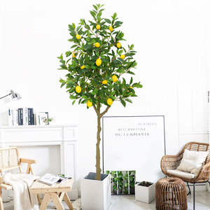 Arbre d'oranger artificiel réaliste en <span class=keywords><strong>pot</strong></span> avec feuilles en plastique résistantes aux UV <span class=keywords><strong>pour</strong></span> la décoration des cafés, arbres fruitiers réalistes - Product Image 3