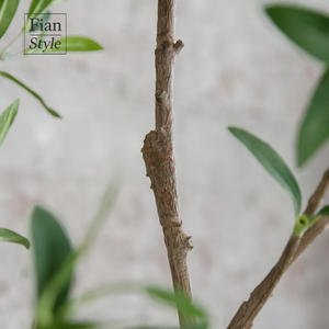 กิ่งมะกอกพลาสติกคุณภาพสูง งานแฮนด์เมด พร้อมกระถาง ตกแต่งสไตล์เมดิเตอร์เรเนียน สำหรับงานแต่งงานและโรงแรม - Product Image 5